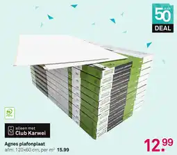 Karwei Agnes plafonplaat aanbieding