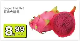 Amazing Oriëntal Dragon Fruit Red aanbieding