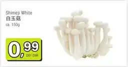 Amazing Oriëntal Shimeji White aanbieding