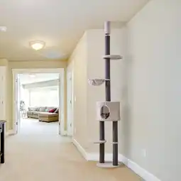 Action Krabpaal - in hoogte verstelbaar aanbieding