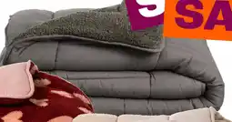 Kwantum Teddy aanbieding