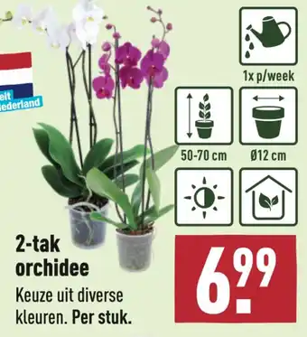 ALDI 2-tak orchidee aanbieding