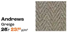 Kwantum Tapijt Andrews aanbieding