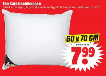 Dirk Ten Cate hoofdkussen aanbieding