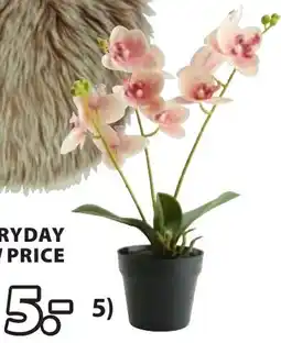 Jysk Gudjon kunstplant aanbieding