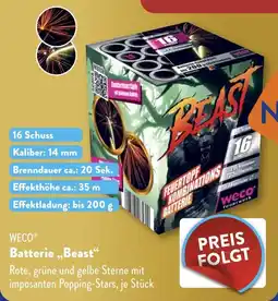 ALDI Weco Batterie Beast aanbieding
