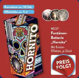 ALDI Weco Fontänen Batterie Hornito aanbieding