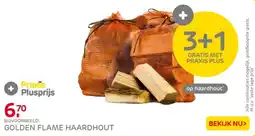 Praxis Golden flame haardhout aanbieding