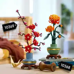 Kruidvat LEGO Icons 10369 Japanse Abrikoos aanbieding