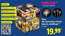 Lidl Weco XXL Gold Glitter Fächer Batterie,,Goldfinger aanbieding