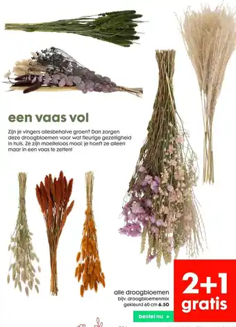 HEMA alle droogbloemen aanbieding