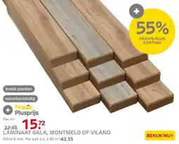 Praxis Laminaat gala, montmelo of vilano aanbieding