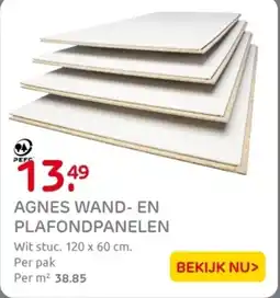 Praxis Agnes wand- en plafondpanelen aanbieding