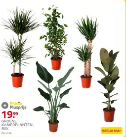 Praxis Groene kamerplanten mix aanbieding