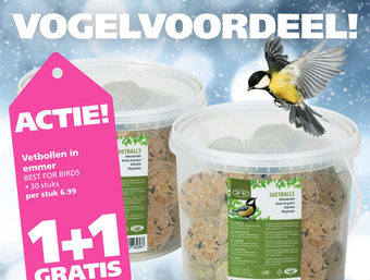Ranzijn Vetbollen in emmer aanbieding