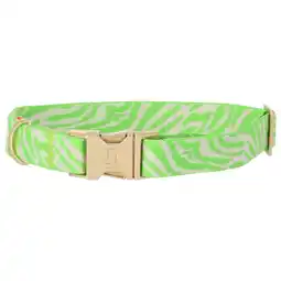 Pets Place Dogguo Zebra Collar - Hondenhalsband - Groen Beige Goud 28-40 Cm aanbieding