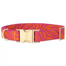 Pets Place Dogguo Zebra Collar - Hondenhalsband - Magenta Oranje Goud 36-52 Cm aanbieding