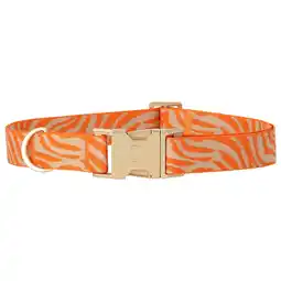Pets Place Dogguo Zebra Collar - Hondenhalsband - Oranje Beige Goud 42-68 Cm aanbieding