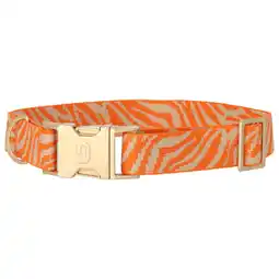 Pets Place Dogguo Zebra Collar - Hondenhalsband - Oranje Beige Goud 36-52 Cm aanbieding