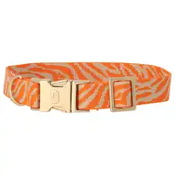 Pets Place Dogguo Zebra Collar - Hondenhalsband - Oranje Beige Goud 28-40 Cm aanbieding
