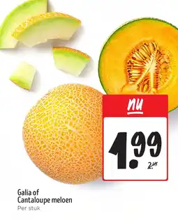 Jumbo Galia of Cantaloupe meloen aanbieding