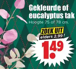 Dirk Gekleurde of eucalyptus tak aanbieding