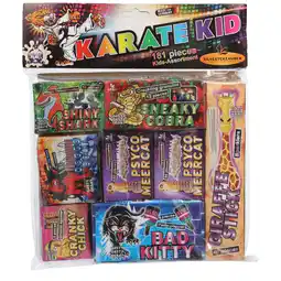 Dirk Karate kid aanbieding