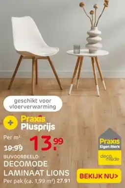 Praxis Decomode laminaat lions aanbieding