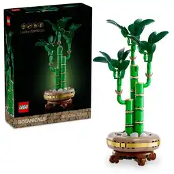 Intertoys LEGO Botanicals bamboe 10344 aanbieding