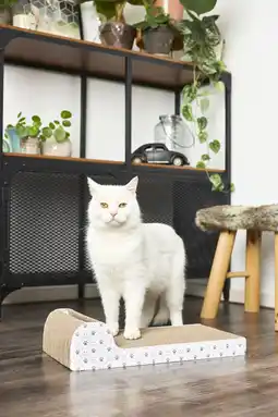 Pets Place Adori Krabplank Met Spel - Krabpalen - 45x25x11 cm aanbieding