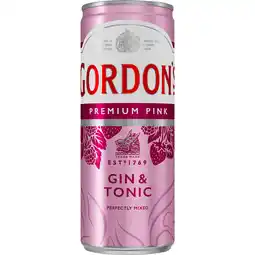 Jumbo Gordon's - Premium Pink Gin & Tonic - 250ML aanbieding