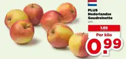 PLUS PLUS Nederlandse Goudreinette aanbieding