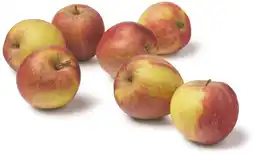 PLUS PLUS Appels Goudreinet aanbieding