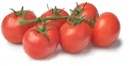 PLUS PLUS Trostomaten aanbieding