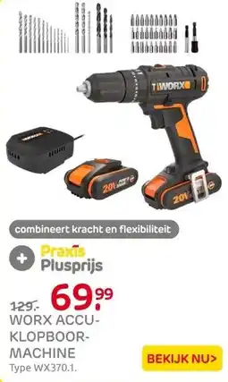Praxis Worx Klopboormachine WX370.1 - 20V - (2x aanbieding