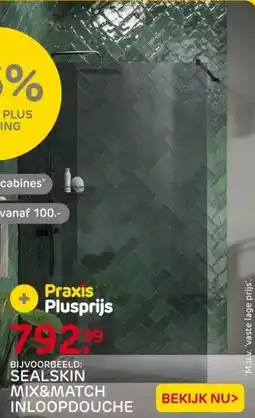 Praxis Sealskin Inloopdouche Mix & Match aanbieding
