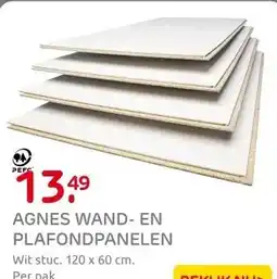 Praxis Agnes wand-en plafondplaat T&G 4-z wit aanbieding