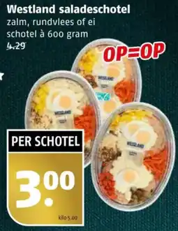 Poiesz Westland saladeschotel aanbieding