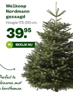 Welkoop Welkoop Nordmann gezaagd aanbieding