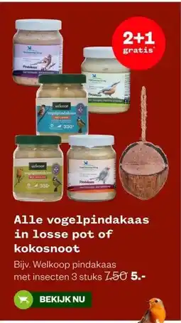 Welkoop Alle vogelpindakaas in losse pot of kokosnoot aanbieding