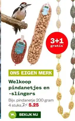 Welkoop Welkoop pindanetjes en -slingers aanbieding
