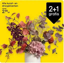 Leen Bakker Alle kunst en droogbloemen aanbieding