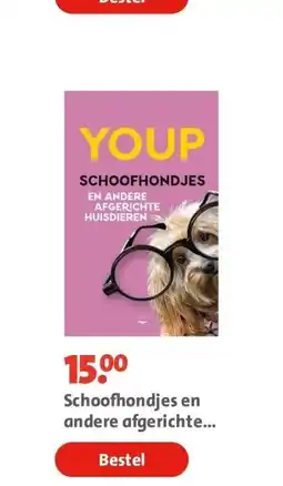 Bruna Schoofhondjes en andere afgerichte huisdieren aanbieding