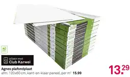 Karwei Agnes plafondplaat aanbieding