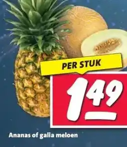 Nettorama Ananas of galia meloen aanbieding