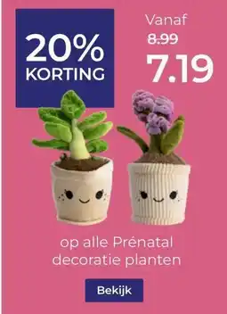 Prenatal op alle Prénatal decoratie planten aanbieding