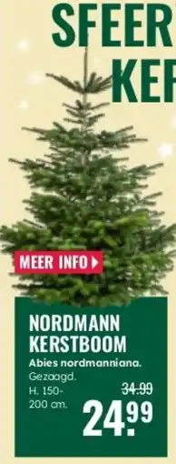 GroenRijk Nordmann kerstboom aanbieding