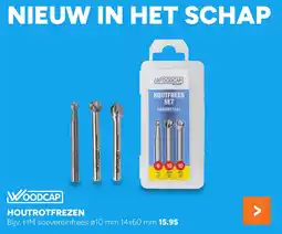 BOUWMAAT Woodcap Houtrotfrezen aanbieding
