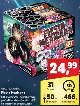 Thomas Philipps Weco feuerwerk Fiesta Mexicana aanbieding