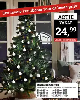 Tuincentrum Osdorp Black Box Charlton aanbieding